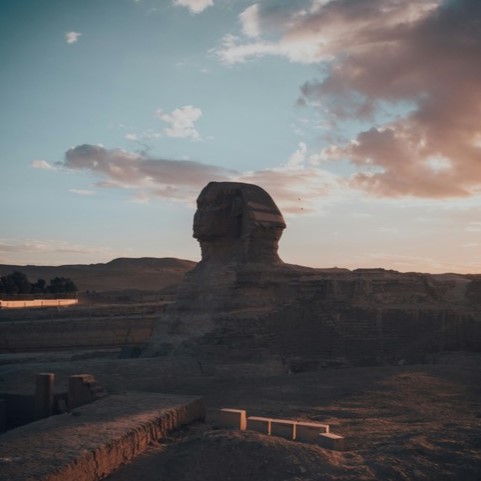 الدراسة في مصر